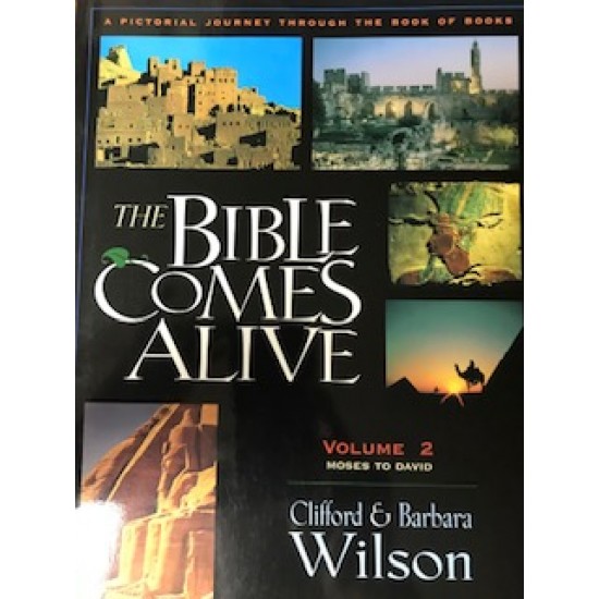 The Bible Comes Alive: Volume 2
