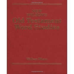 New Wilson's Old Testament Word Studies