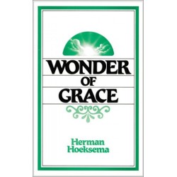 The Wonder of Grace