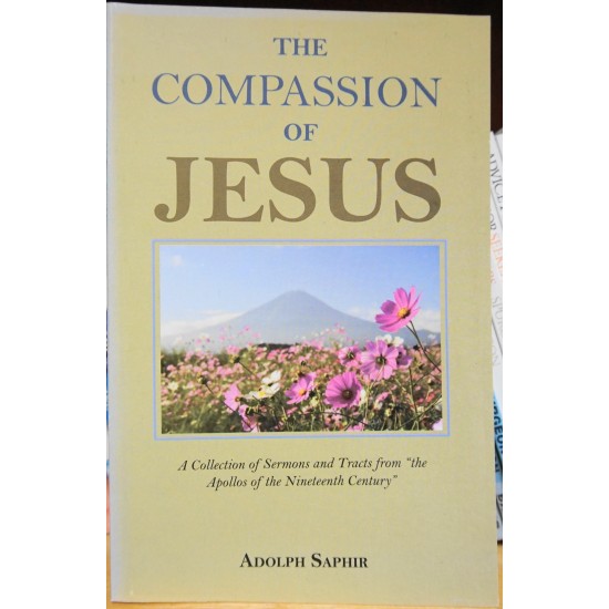 The Compassion of Jesus