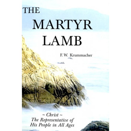 The Martyr Lamb